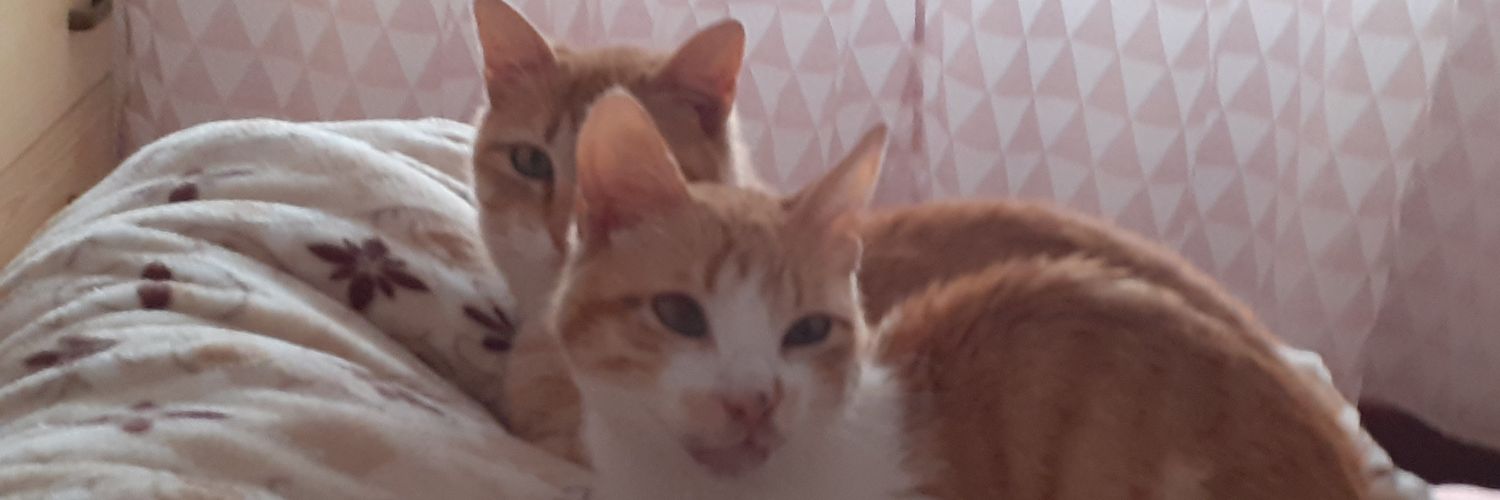peachsugar15's profile banner image