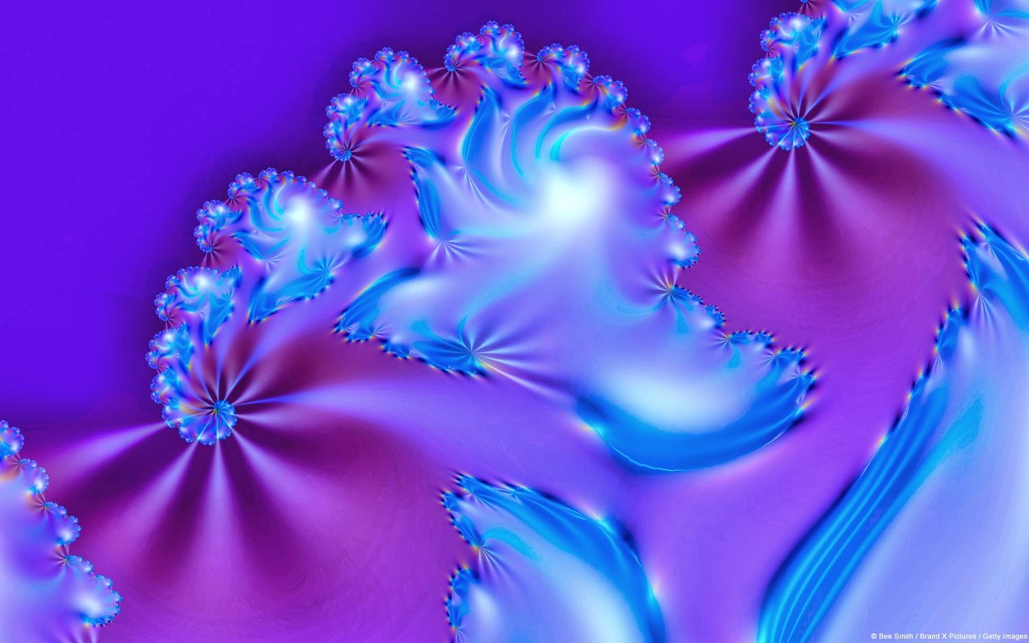 MsCocoBetty's profile banner image