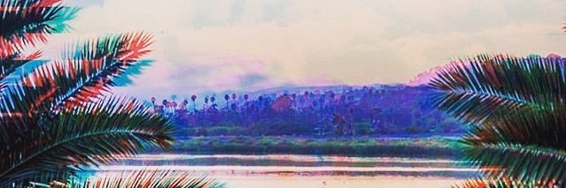 traupics's profile banner image