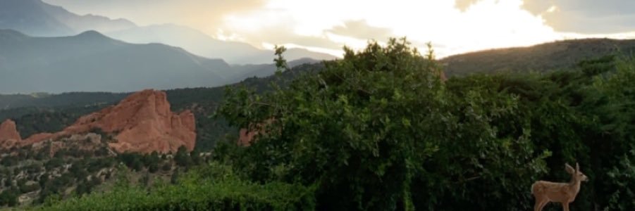 brody_boyce's profile banner image