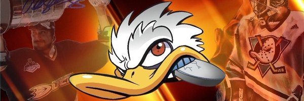 DucksNPucks 🦆🏒 Profile Banner