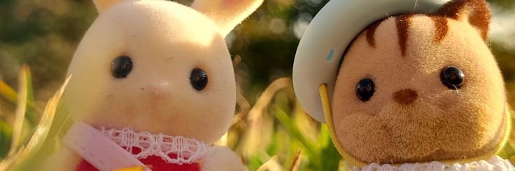 amwthy's profile banner image