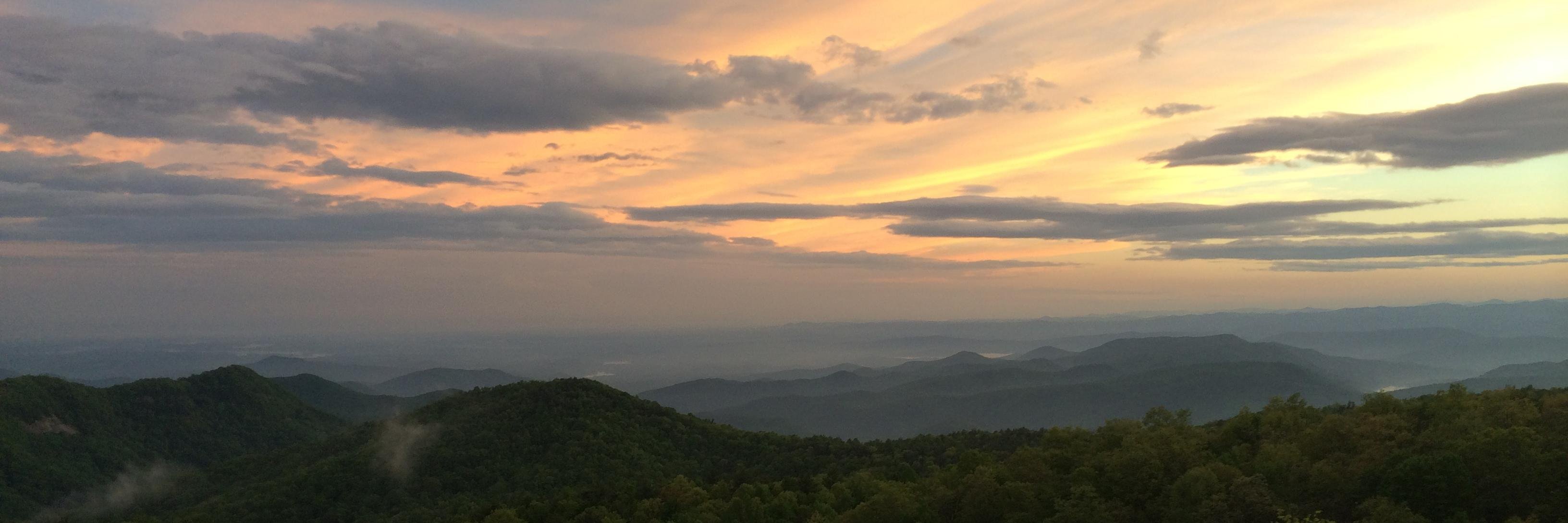 Evan Apanovitch banner