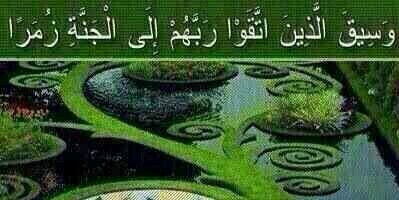 Al Zubaidi banner