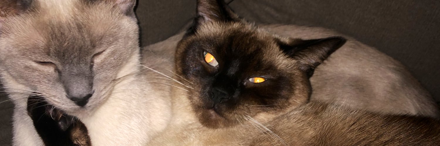 live_timez's profile banner image