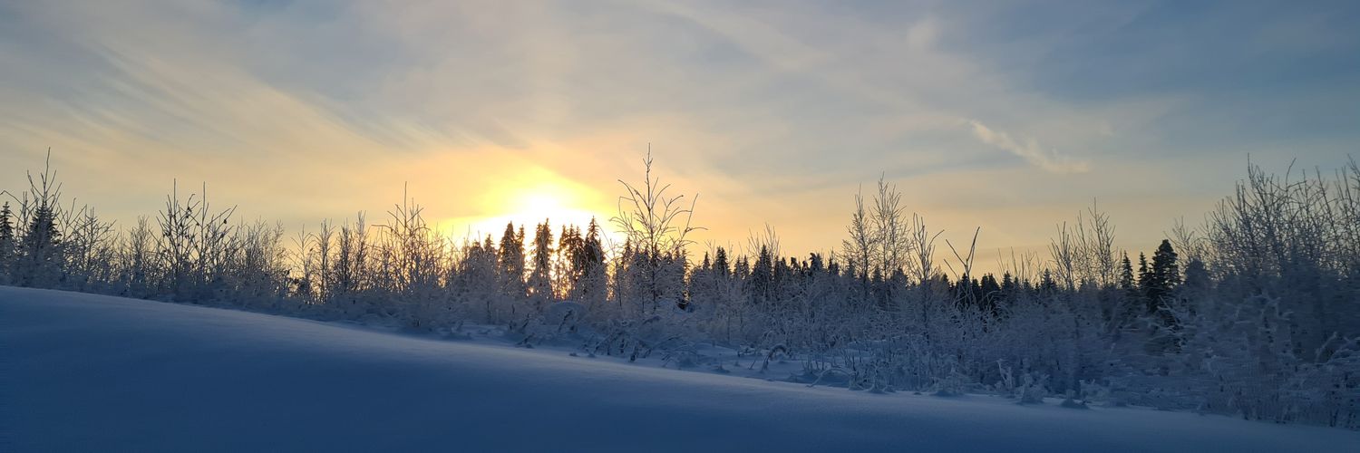 LindgrenMarika's profile banner image