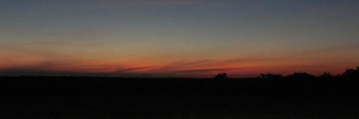 Liza Sutherland banner