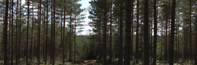 cgyll's profile banner image