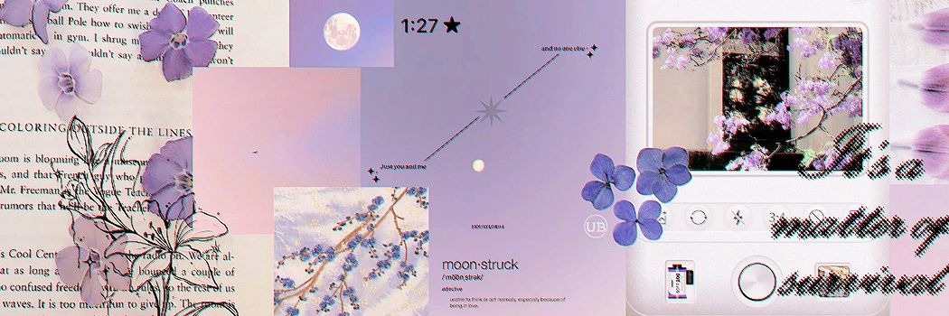 ₊˚⊹ Abeille ⊹˚₊ Aprilus & AniverSylus banner