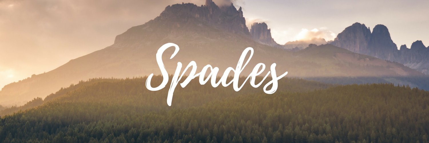 Sp4des's profile banner image