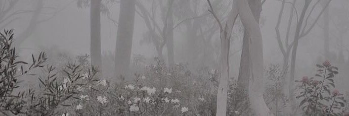 Alyssa5513's profile banner image
