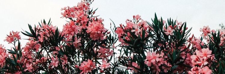 kendallheretta's profile banner image