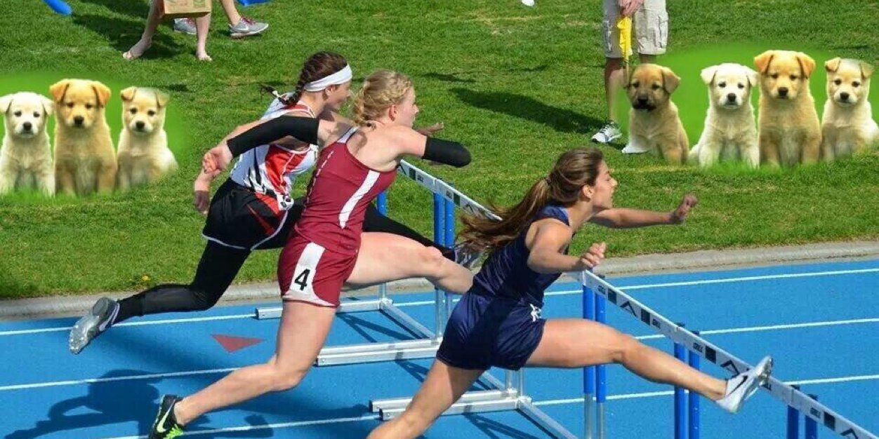 LSHS_Track's profile banner image