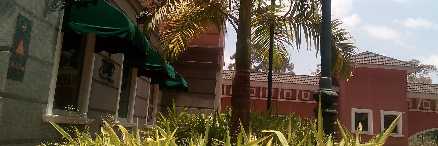 BShihem's profile banner image