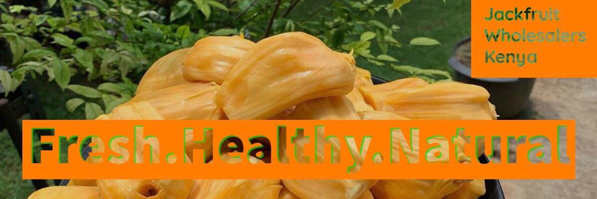 jackfruit_kenya's profile banner image