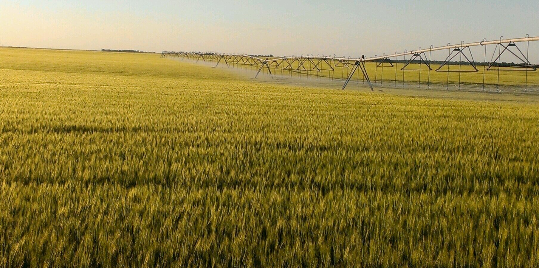 Frans Pot Farms ltd banner