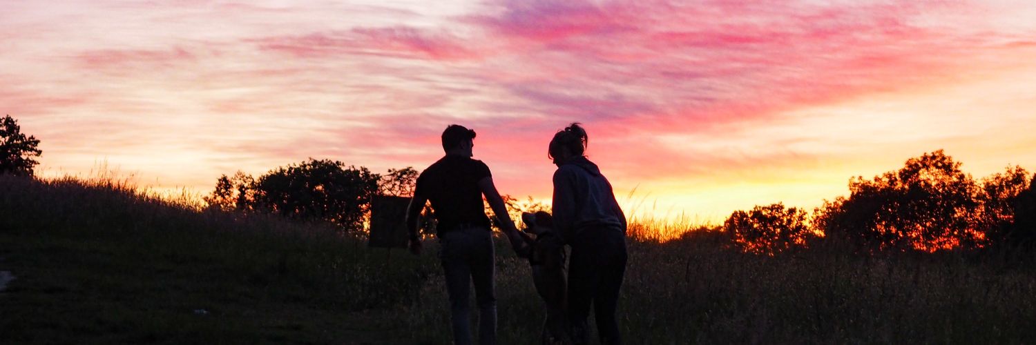 MaximeCssbrs's profile banner image