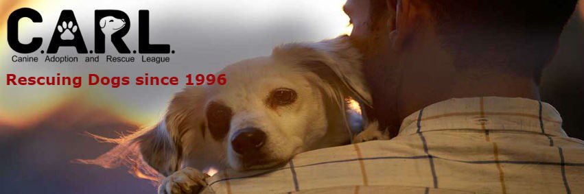 CARL_dogs's profile banner image
