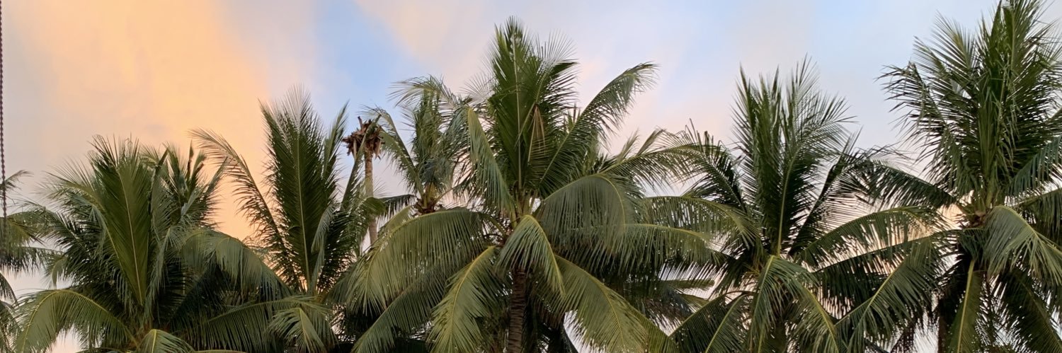 cchiiee's profile banner image