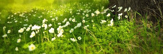 24_ilhaam's profile banner image