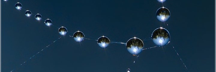 Theaterleben's profile banner image