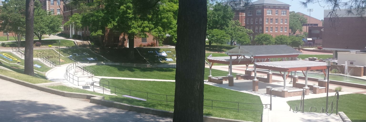 Danielle Colbert- Lewis banner