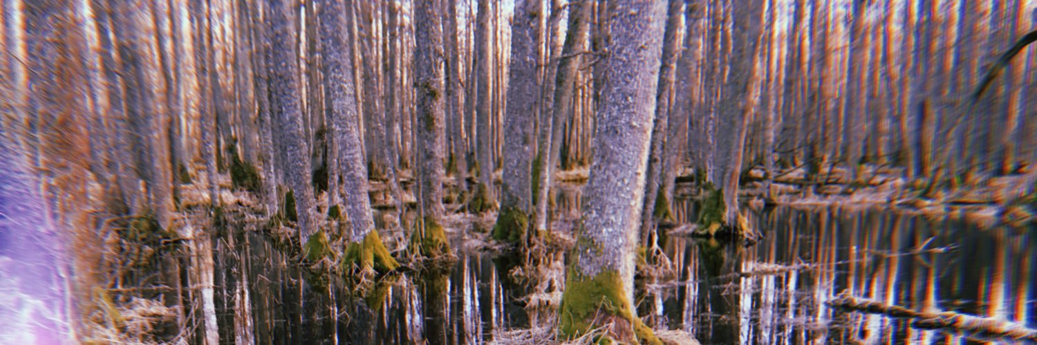 Mārtiņš Matīss Zemītis banner