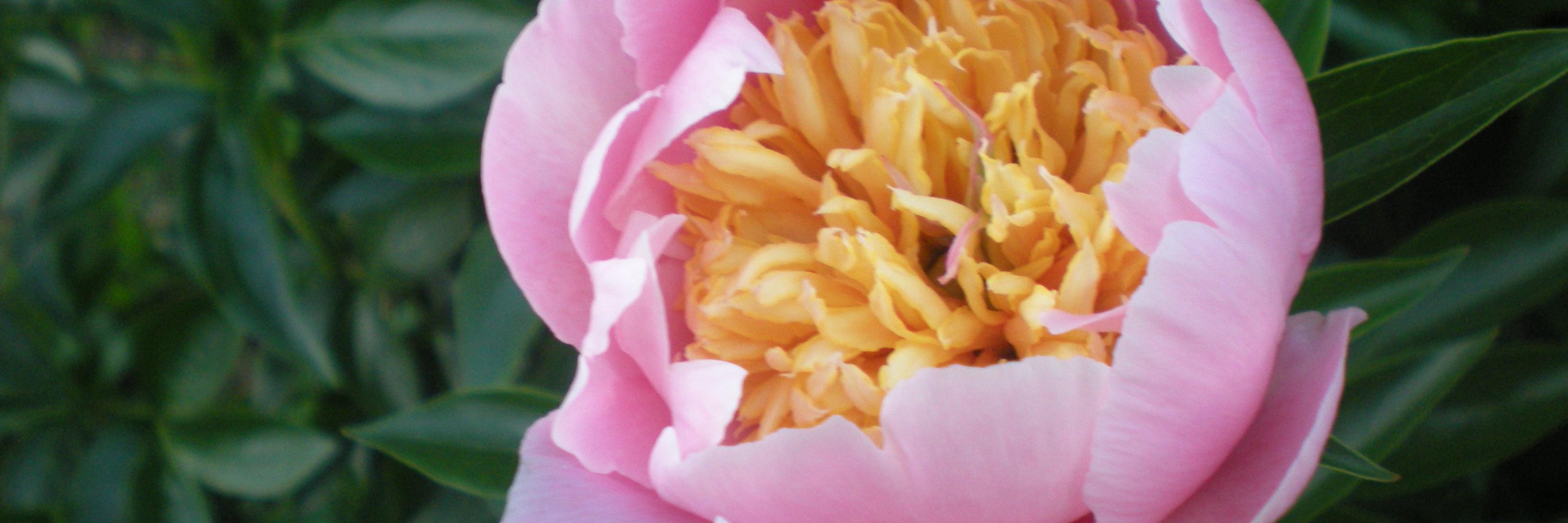 doclrichardson's profile banner image
