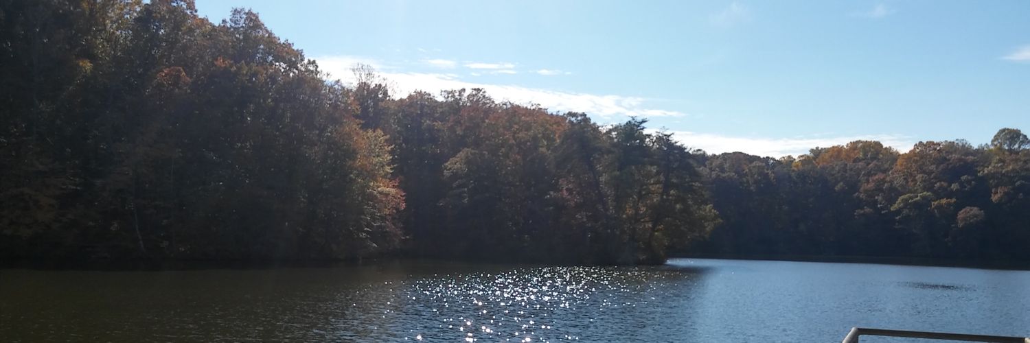 BeALadyNotShady's profile banner image