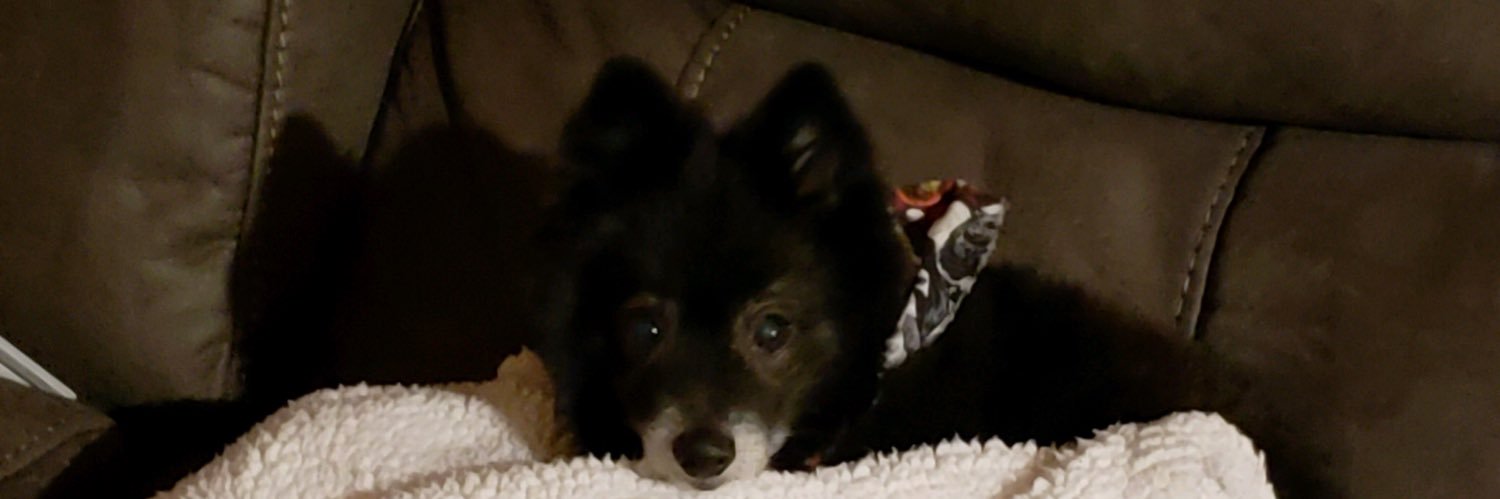 charbearatc's profile banner image