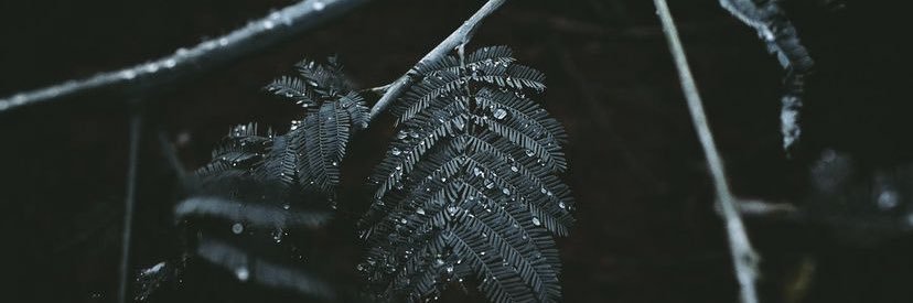 Edoalbertoo's profile banner image