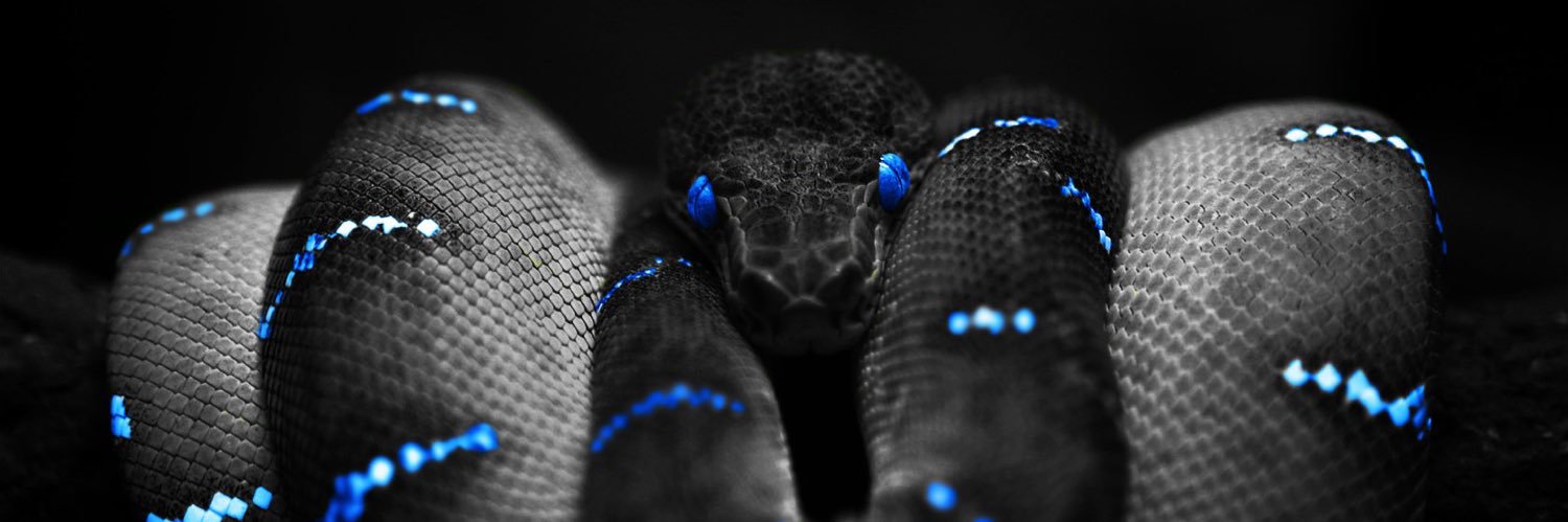 LarsonMilary's profile banner image