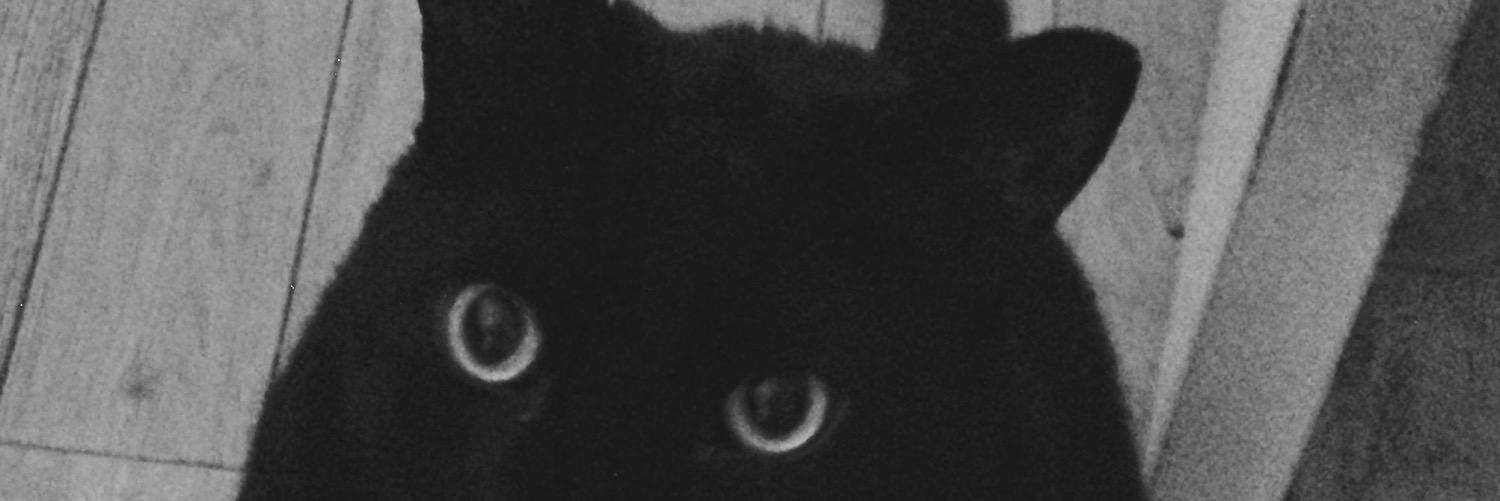 webbx's profile banner image