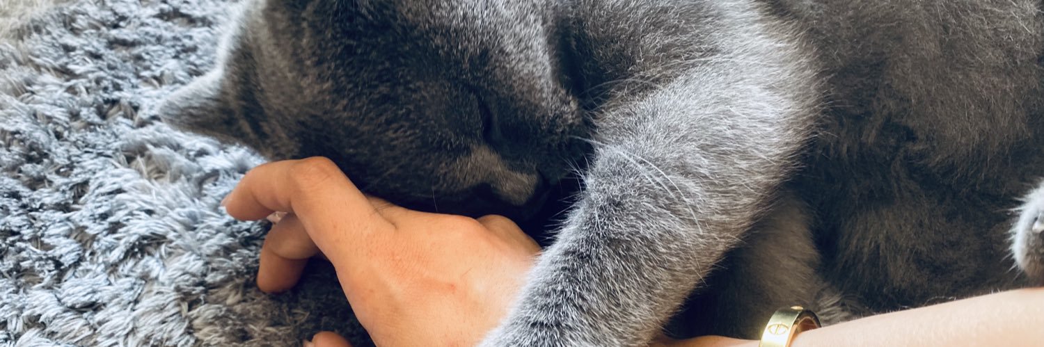 busekedas's profile banner image