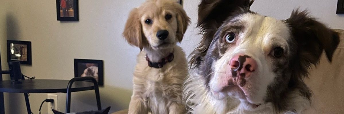 TyTy4you's profile banner image