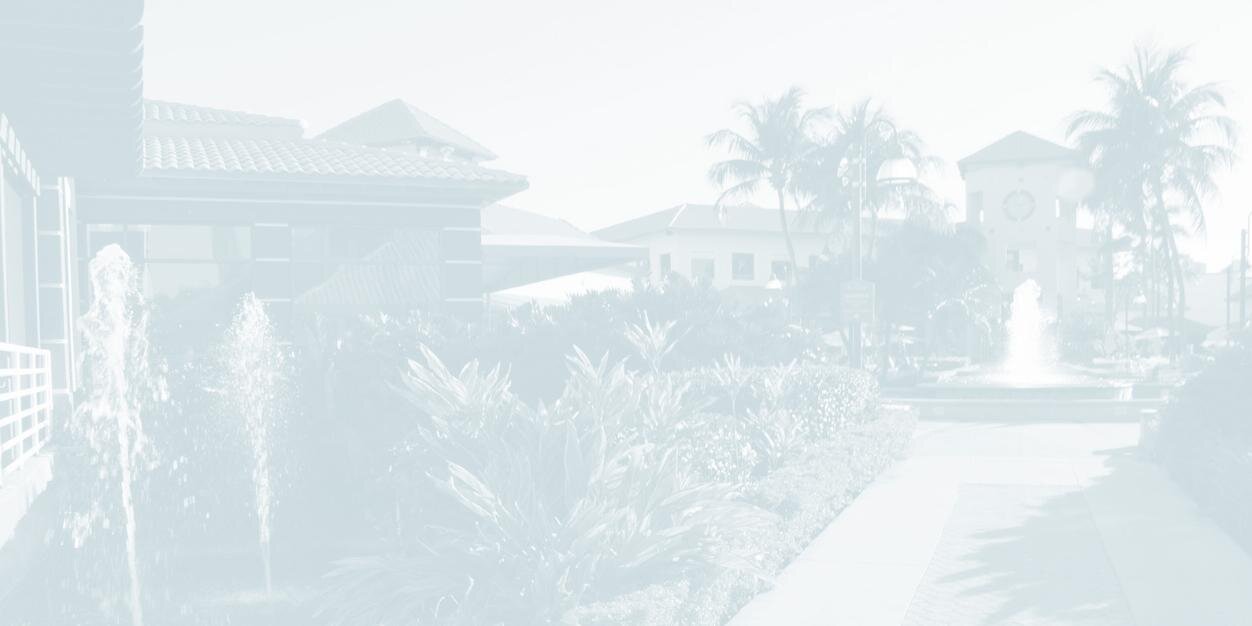 EnidWeisman's profile banner image
