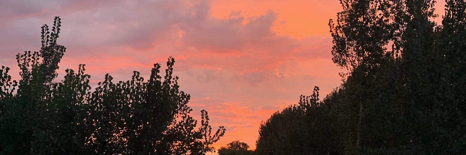 Maile_2105's profile banner image