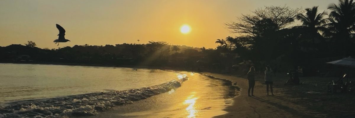 SolPotocar's profile banner image
