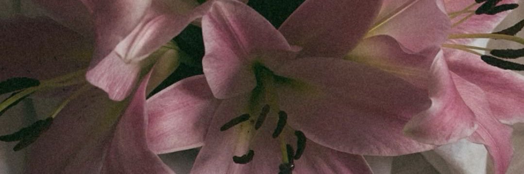 lanadamnray's profile banner image