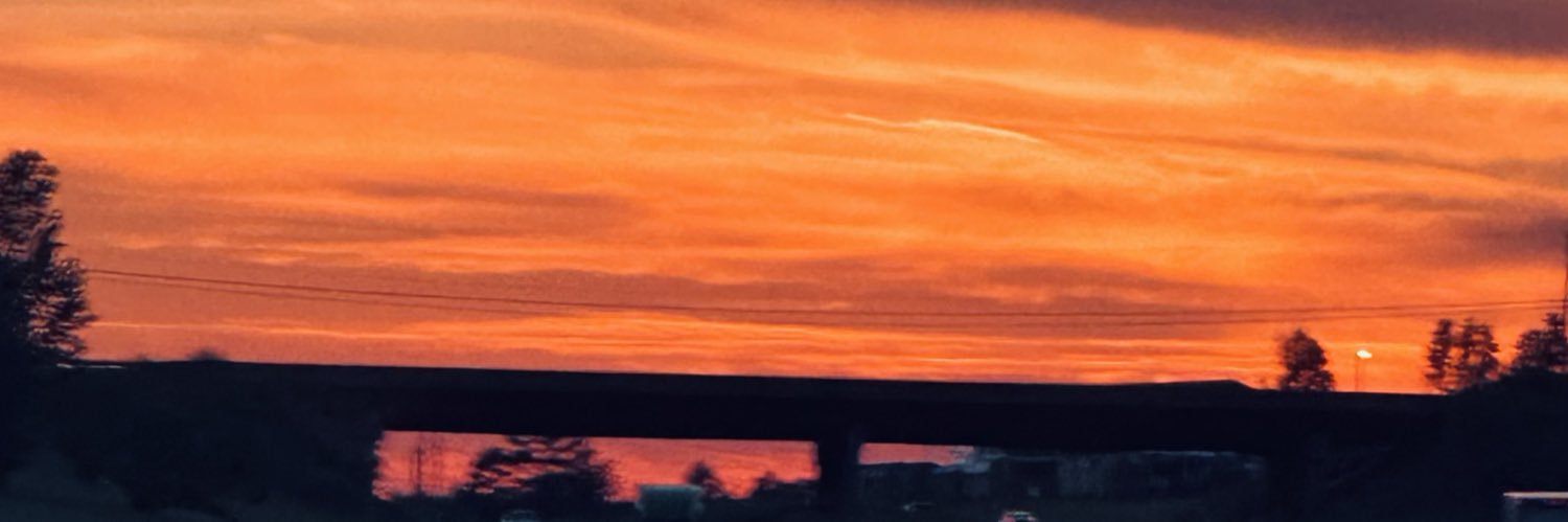 ri_leeee's profile banner image