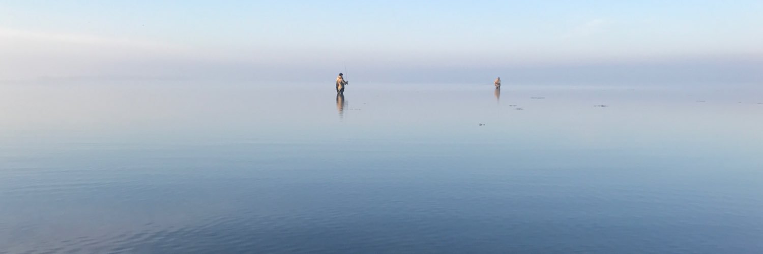 Per-Henrik Ellingsen banner