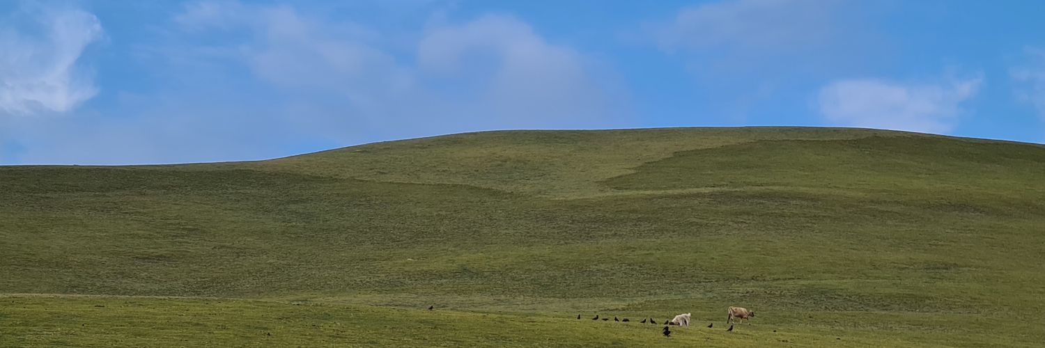 🖤 Jack Süryn banner