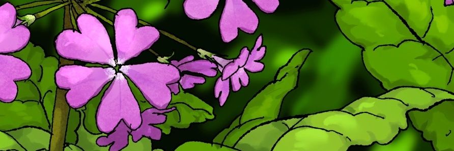 Gaagi144's profile banner image