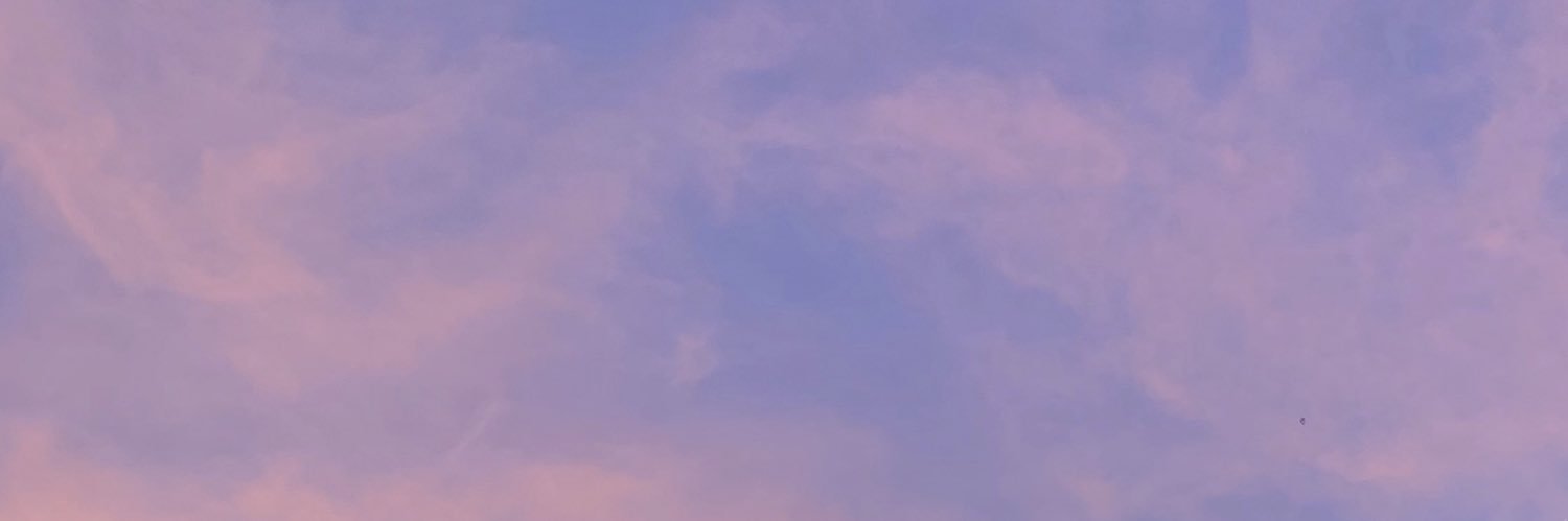 heyyleilei's profile banner image