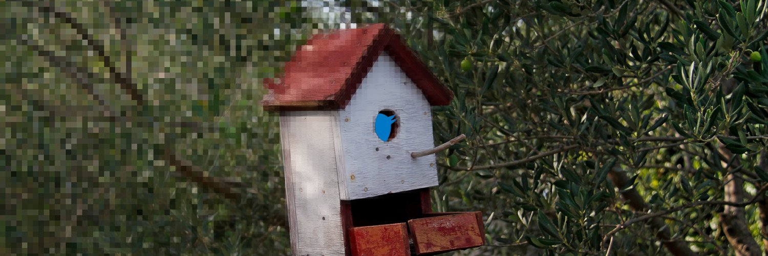 realitycrop's profile banner image