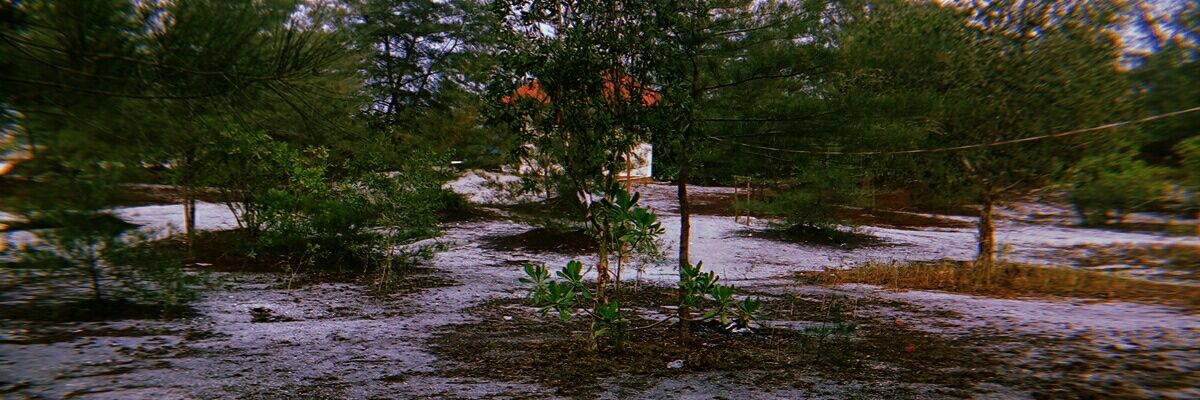 TashaAmelia23's profile banner image