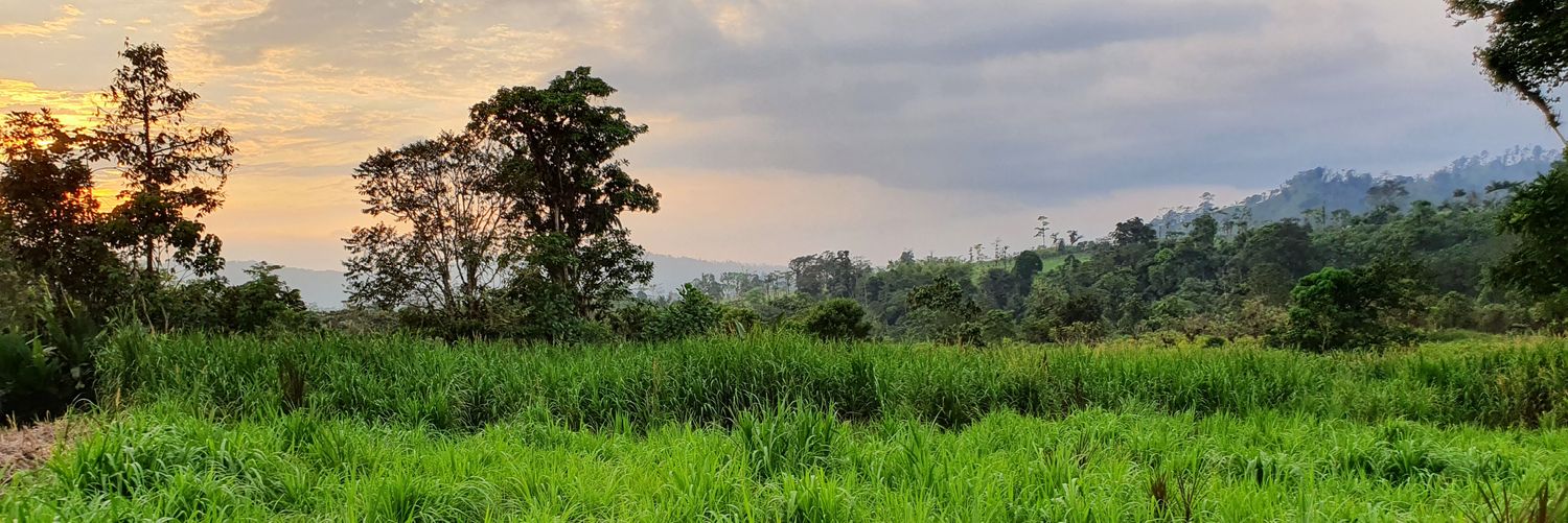 bermeojp's profile banner image