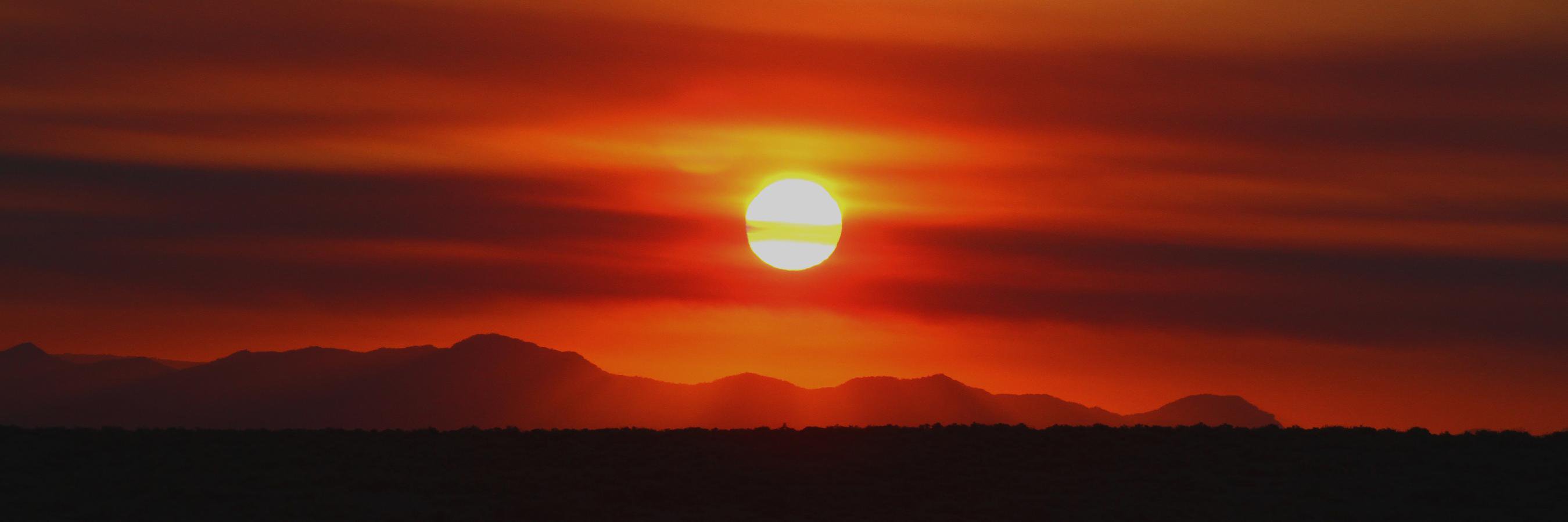 Falk (Deutschland) banner