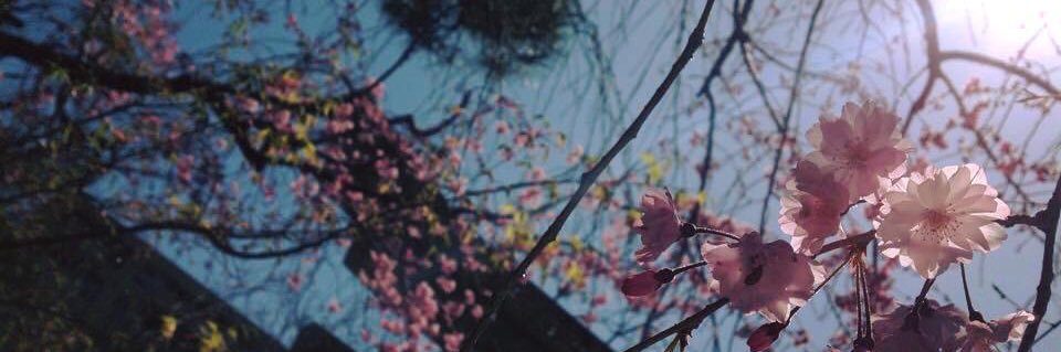 Peace☺︎ banner