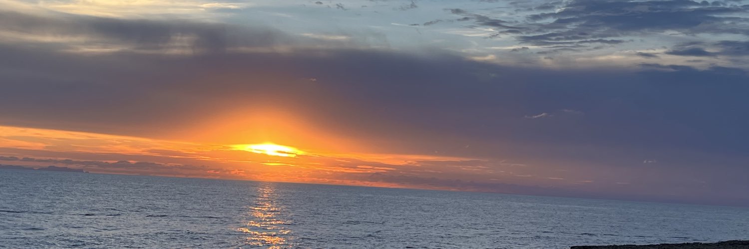 Alejandra Varela banner